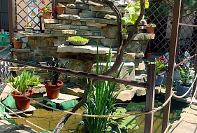 Фото Гостевой дом «Людмила»