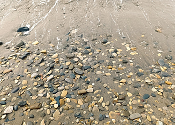 Гостевой дом «Рио»