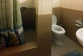 Фото Мини-гостиница «Цитрус»