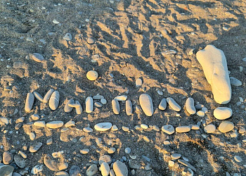 Гостевой дом «МарПоль»